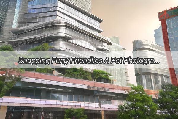 Snapping Furry Friendlies A Pet Photography Masters Guide to the Charm of Guangzhou